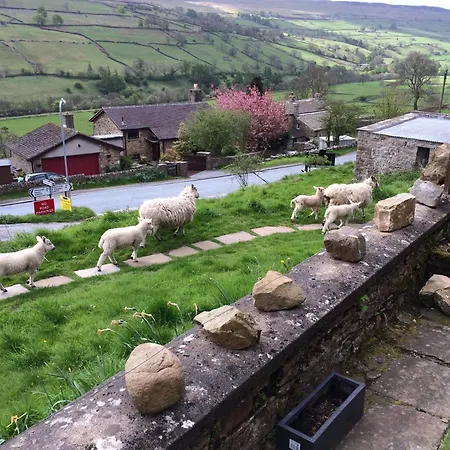Moorview Dom wakacyjny Richmond (North Yorkshire)
